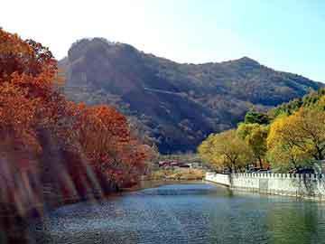 管家婆免费正版资起大全，天津排水板